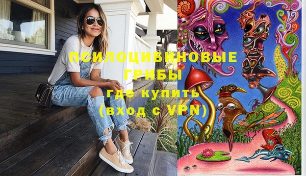 мдпв Новозыбков