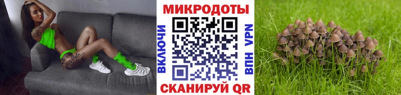 Галлюциногенные грибы Psilocybine cubensis  Старая Купавна 