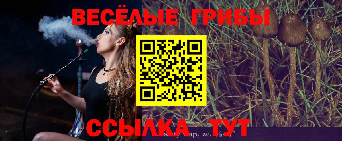 Старая Купавна  Галлюциногенные грибы мицелий  Вход с VPN 